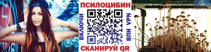 Псилоцибиновые грибы Psilocybine cubensis  Долинск 